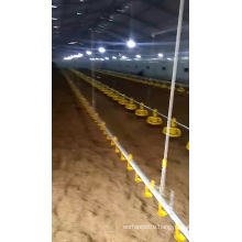 Poultry Farming Automatic Chicken Feeding Pan System Ground Floor Broiler Breeder Feeding Line